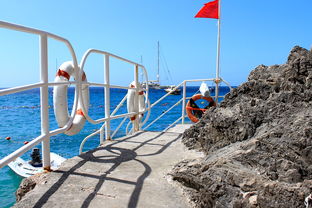 开云体育在线-球场安全：未来球场与安保新思路，球场防护